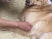 一看就笑死人的图片头像,盘点那些让人捧腹大笑的搞笑头像精选