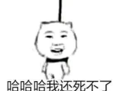 爆笑表情包图片,爆笑表情包图片集锦赏析