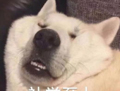 幽默搞笑头像图片,个性幽默，让你成为朋友圈焦点！”