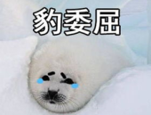 开心一刻幽默笑话爱情短句,幽默短句中的甜蜜与智慧