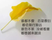 人生感悟的唯美句子,心灵绽放的唯美篇章