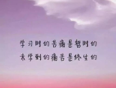心灵鸡汤经典语录,经典语录中的生活智慧与人生哲理