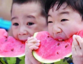吃瓜福利,吃瓜福利大放送，尽享清凉好时光”