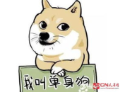 十大笑话排行榜,笑出腹肌的幽默瞬间