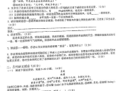 卷子啊写真,穿越时空的青春记忆