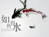 渔打一成语,渔翁得利概述